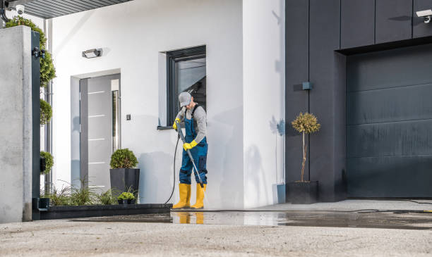 Best Spring Cleaning  in Lake Linden, MI